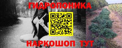 амф Вышний Волочёк