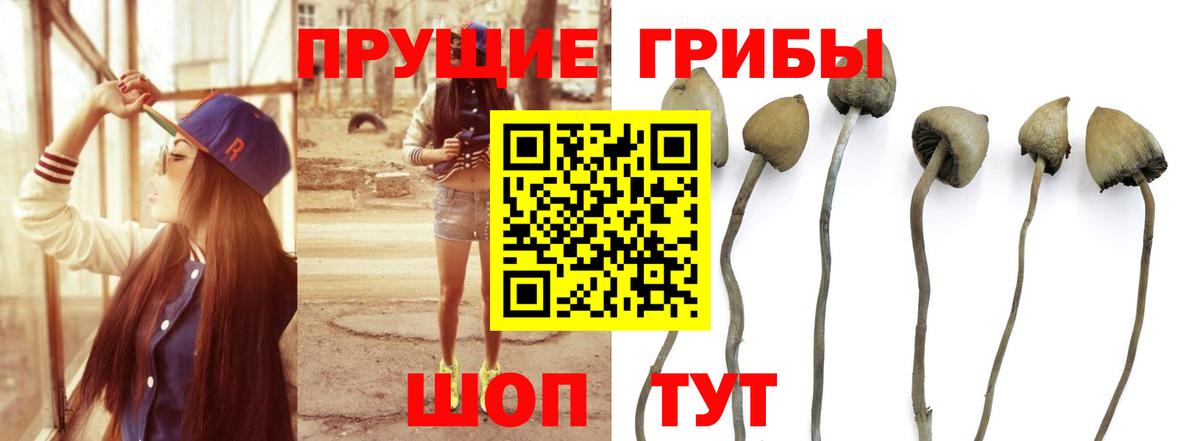 Назарово  Галлюциногенные грибы Magic Shrooms  Вход с VPN  Псилоцибиновые грибы мухоморы 